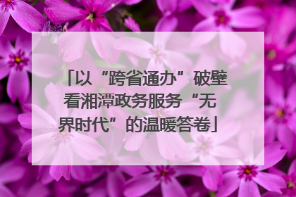 以“跨省通办”破壁 看湘潭政务服务“无界时代”的温暖答卷