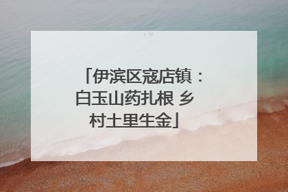 伊滨区寇店镇：白玉山药扎根 乡村土里生金