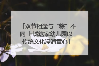 双节相逢与“粽”不同 上城这家幼儿园以传统文化浸润童心