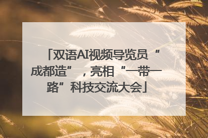 双语AI视频导览员“成都造”，亮相“一带一路”科技交流大会