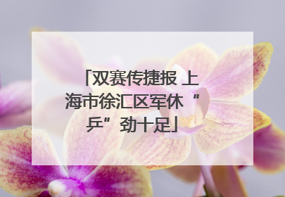 双赛传捷报 上海市徐汇区军休“乒”劲十足