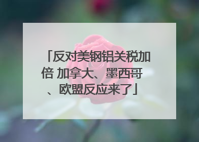 反对美钢铝关税加倍 加拿大、墨西哥、欧盟反应来了