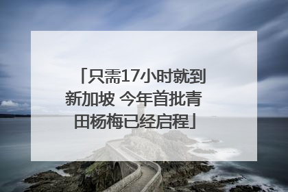 只需17小时就到新加坡 今年首批青田杨梅已经启程