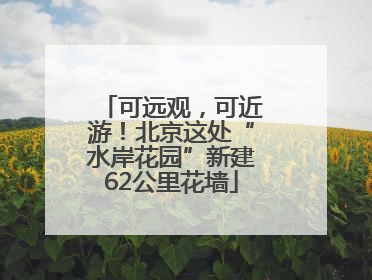 可远观，可近游！北京这处“水岸花园”新建62公里花墙