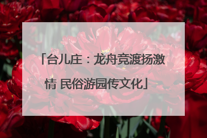 台儿庄：龙舟竞渡扬激情 民俗游园传文化