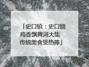 史口镇：史口烧鸡香飘黄河大集 传统美食受热捧