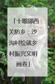 十堰郧西关防乡：沙沟村绘就乡村振兴文明画卷