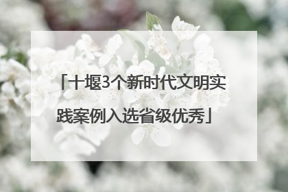 十堰3个新时代文明实践案例入选省级优秀
