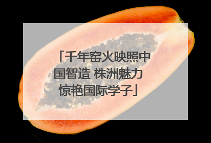 千年窑火映照中国智造 株洲魅力惊艳国际学子