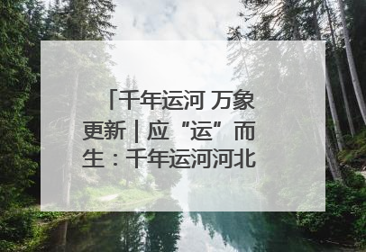 千年运河 万象更新｜应“运”而生：千年运河河北沧州段展新颜