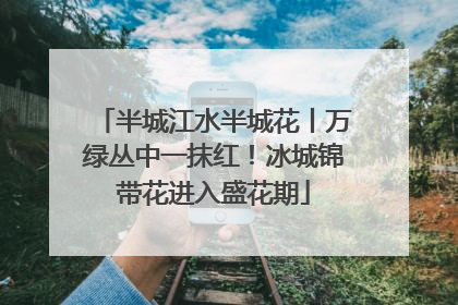 半城江水半城花丨万绿丛中一抹红！冰城锦带花进入盛花期