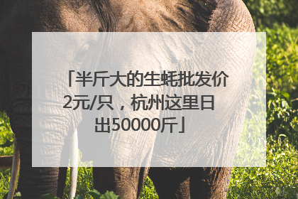 半斤大的生蚝批发价2元/只，杭州这里日出50000斤