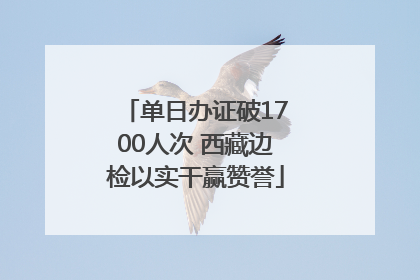 单日办证破1700人次 西藏边检以实干赢赞誉