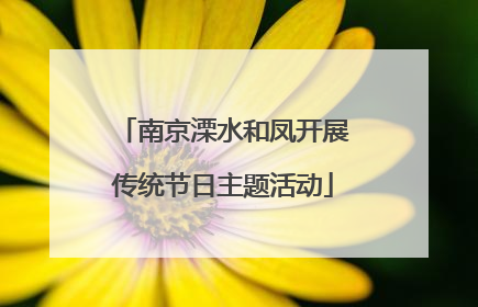 南京溧水和凤开展传统节日主题活动