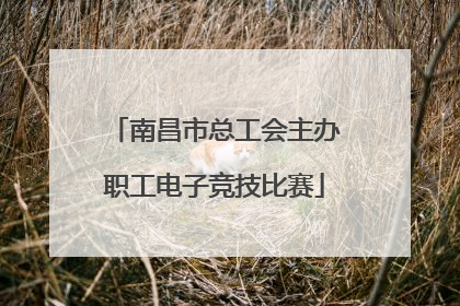 南昌市总工会主办职工电子竞技比赛