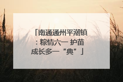 南通通州平潮镇：粽情六一 护苗成长多一“典”