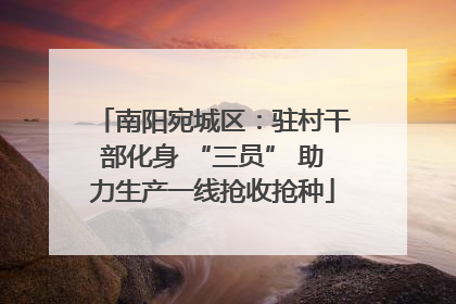南阳宛城区：驻村干部化身 “三员” 助力生产一线抢收抢种