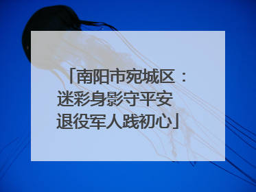 南阳市宛城区：迷彩身影守平安 退役军人践初心