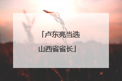 卢东亮当选山西省省长