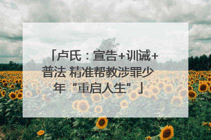 卢氏：宣告+训诫+普法 精准帮教涉罪少年“重启人生”