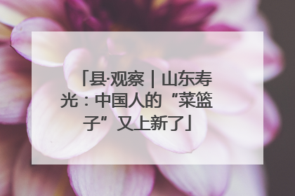县·观察｜山东寿光：中国人的“菜篮子”又上新了