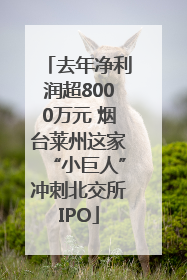 去年净利润超8000万元 烟台莱州这家“小巨人”冲刺北交所IPO