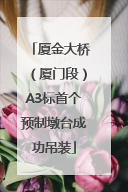 厦金大桥（厦门段）A3标首个预制墩台成功吊装