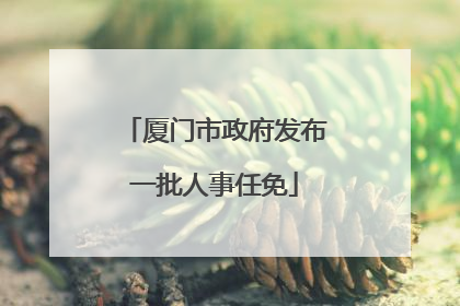 厦门市政府发布一批人事任免