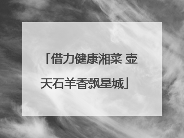 借力健康湘菜 壶天石羊香飘星城