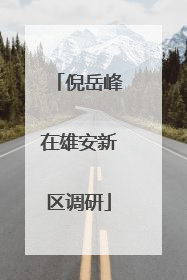 倪岳峰在雄安新区调研