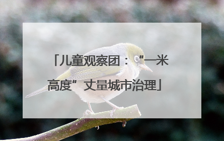 儿童观察团：“一米高度”丈量城市治理