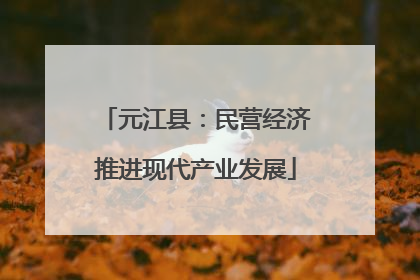 元江县：民营经济推进现代产业发展