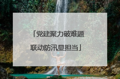 党建聚力破难题 联动防汛显担当