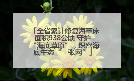 全省累计修复海草床面积938公顷 守护“海底草原”，织密海底生态“一张网”