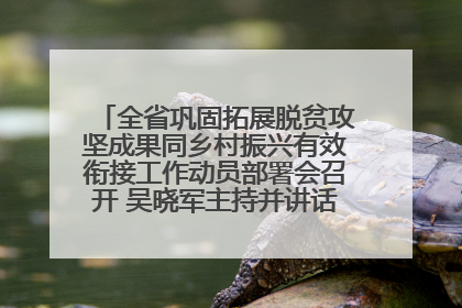 全省巩固拓展脱贫攻坚成果同乡村振兴有效衔接工作动员部署会召开 吴晓军主持并讲话 罗东川作安排部署