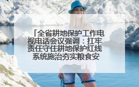 全省耕地保护工作电视电话会议强调：扛牢责任守住耕地保护红线 系统施治夯实粮食安全根基 王宁作出批示 王予波出席并讲话