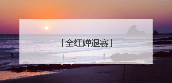 全红婵退赛