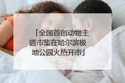 全国首创动物主题市集在哈尔滨极地公园火热开市