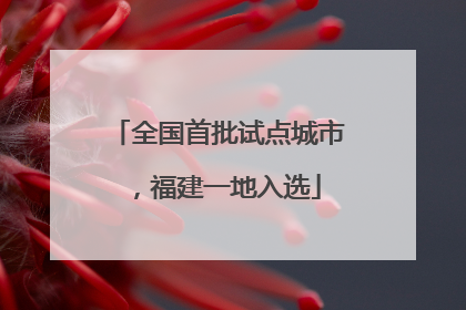 全国首批试点城市，福建一地入选
