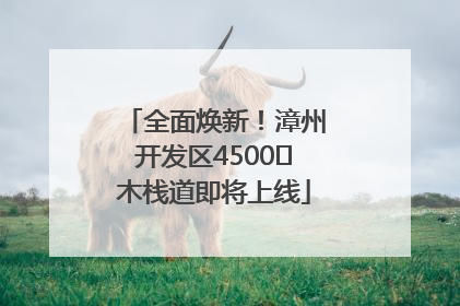 全面焕新！漳州开发区4500㎡木栈道即将上线