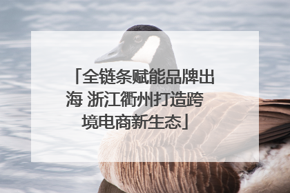 全链条赋能品牌出海 浙江衢州打造跨境电商新生态