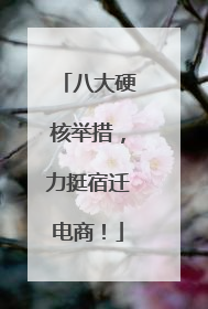 八大硬核举措，力挺宿迁电商！