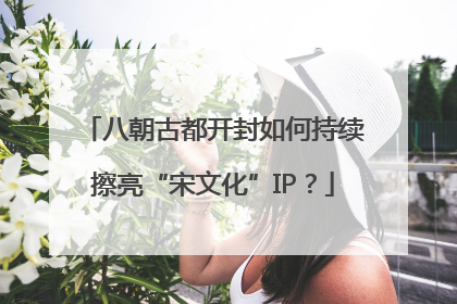 八朝古都开封如何持续擦亮“宋文化”IP？