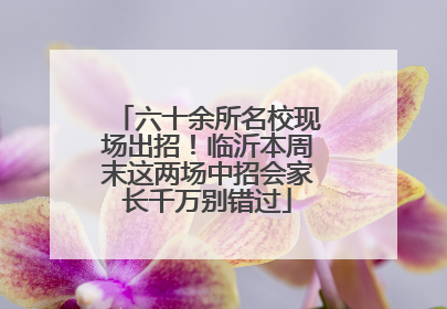 六十余所名校现场出招！临沂本周末这两场中招会家长千万别错过