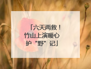 六天两救！竹山上演暖心护“野”记