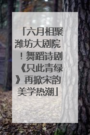 六月相聚潍坊大剧院！舞蹈诗剧《只此青绿》再掀宋韵美学热潮