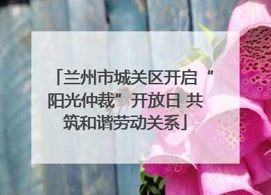 兰州市城关区开启“阳光仲裁”开放日 共筑和谐劳动关系