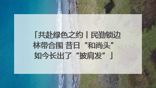 共赴绿色之约丨民勤锁边林带合围 昔日“和尚头”如今长出了“披肩发”