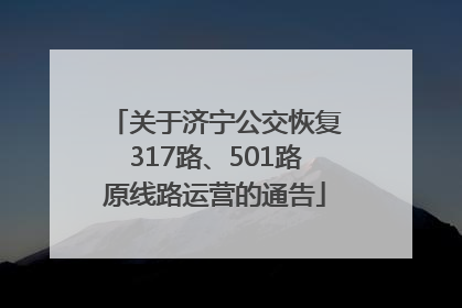 关于济宁公交恢复317路、501路原线路运营的通告