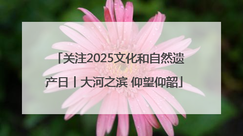 关注2025文化和自然遗产日丨大河之滨 仰望仰韶
